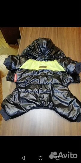 Одежда для собак