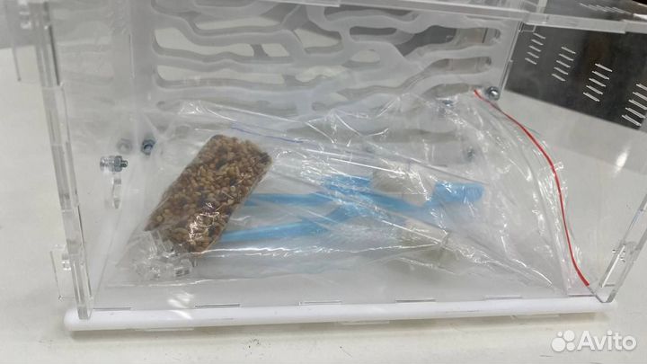 Муравьиная ферма большая