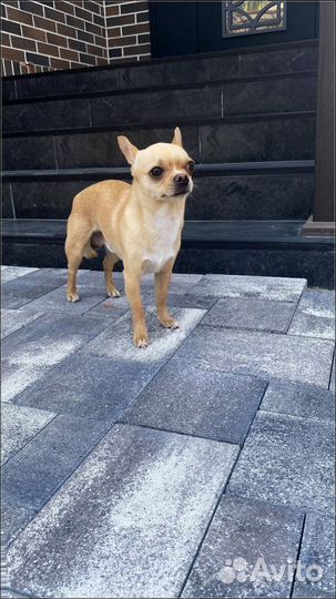 Тротуарная плитка цветная от 120 м2