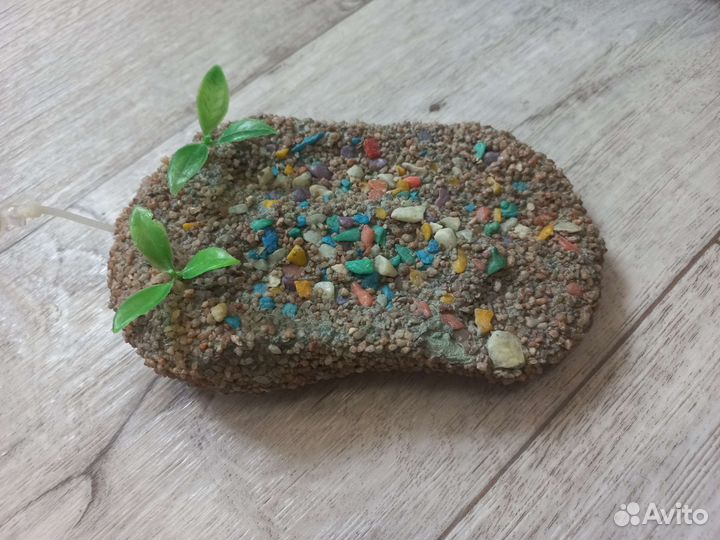 Островок для черепахи