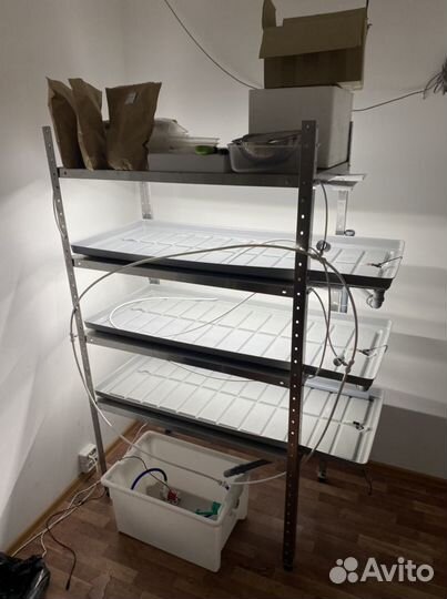 Ферма для микрозелени