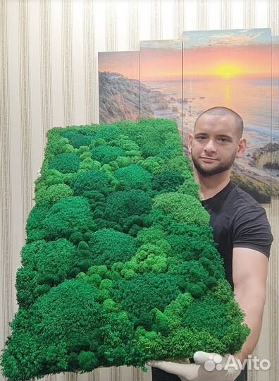 Качественные вечно зеленые панели 25х50см из мха