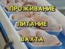 Сортировщик/Вахта/Саратов