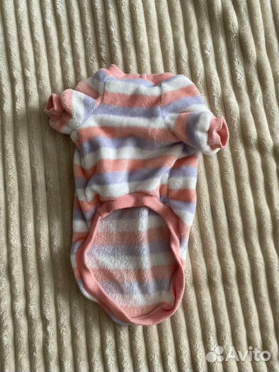 Боди одежда для собак