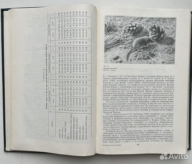 Млекопитающие Якутии