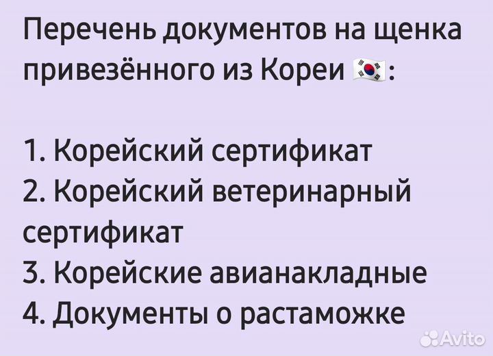 Мальтипу Микро из Кореи