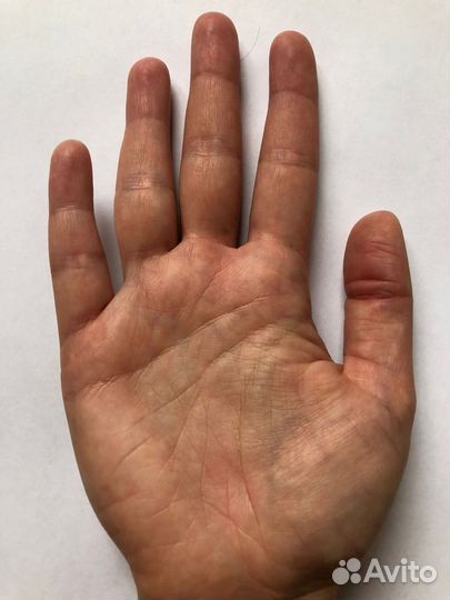 Хиромантия,таро,обучение