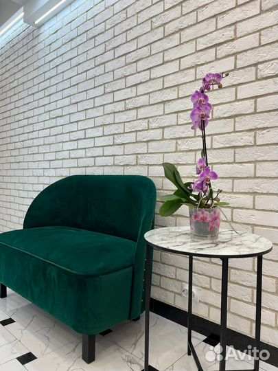 Маникюр / педикюр / брови