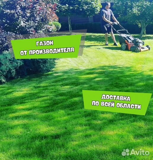 Рулонный газон