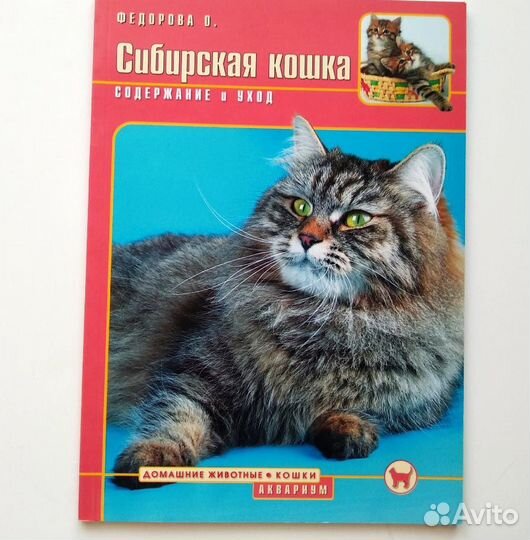 Сибирская кошка, альбом