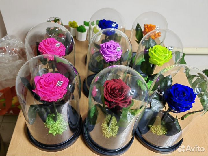 Роза, пионы, цветы в колбе. Подарок. Декор, от