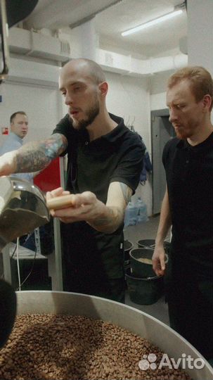 Кофе зерновой оптом Эфиопия Сидамо