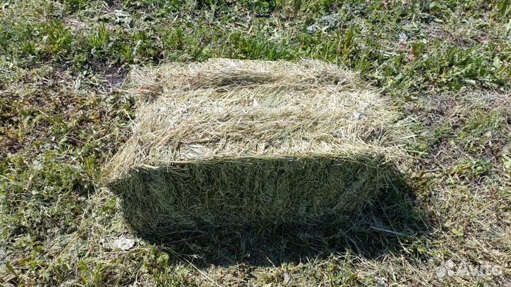 Сено луговое в тюках