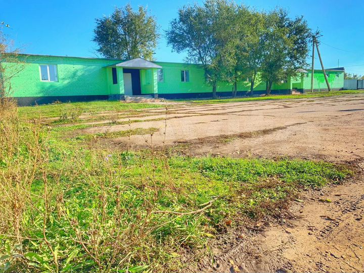 Общепит - готовый бизнес