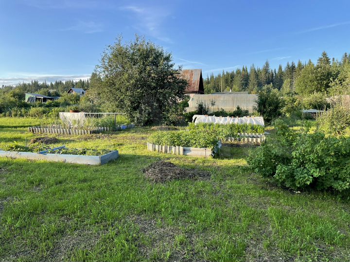 Участок 9 сот. (СНТ, ДНП)