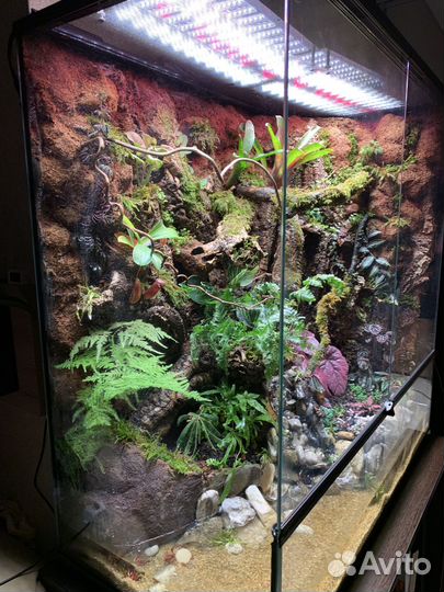 Флорариум 90 см*45 см*90 см (365 л)