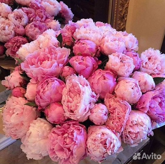 Пионы Розы Доставка
