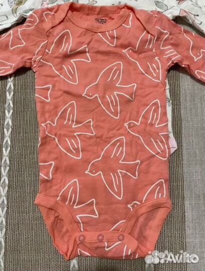 Боди на доставку