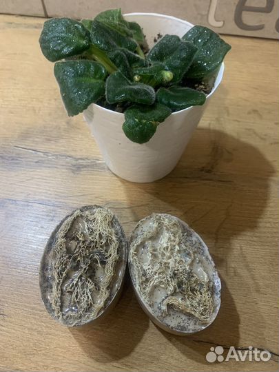 Массажное мыло с люфой