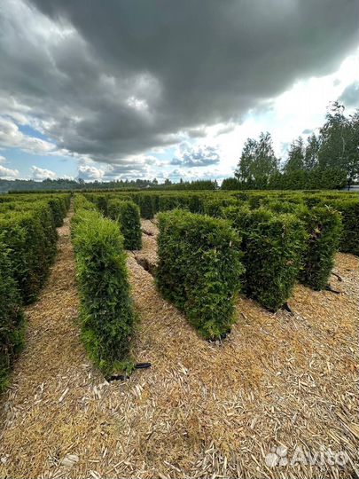 Ищем инвестора в бизнес