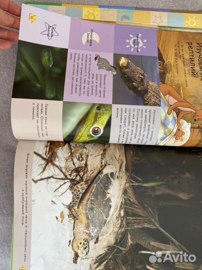 Книжка детская