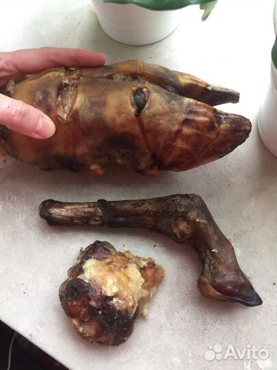 Игрушки погрызушки для собак