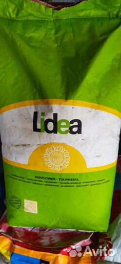 Семена подсолнечника гибрид