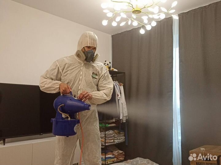 Уничтожение тараканов, клопов, плесени, крыс, блох