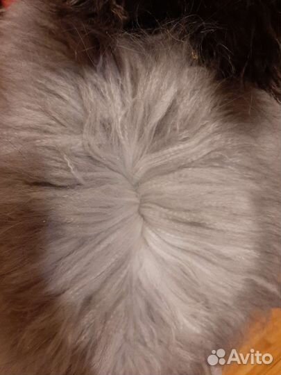 Пух кролика немецкая ангора