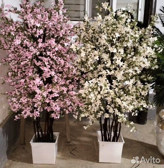 Искусственные растения для декора