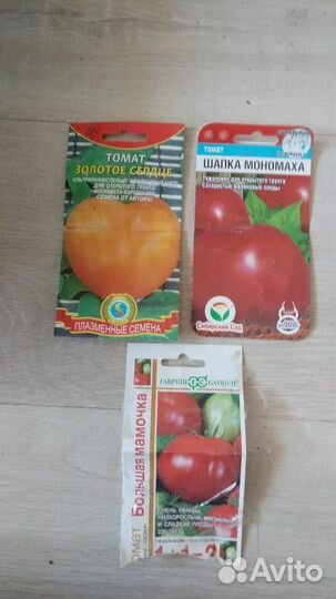 Рассада помидор и перцев