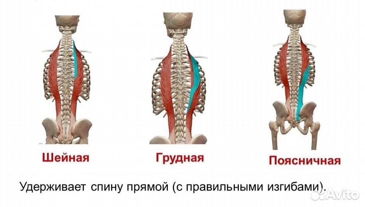 Ваш Массаж + Выезд