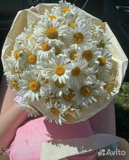 Ромашки цветы букеты