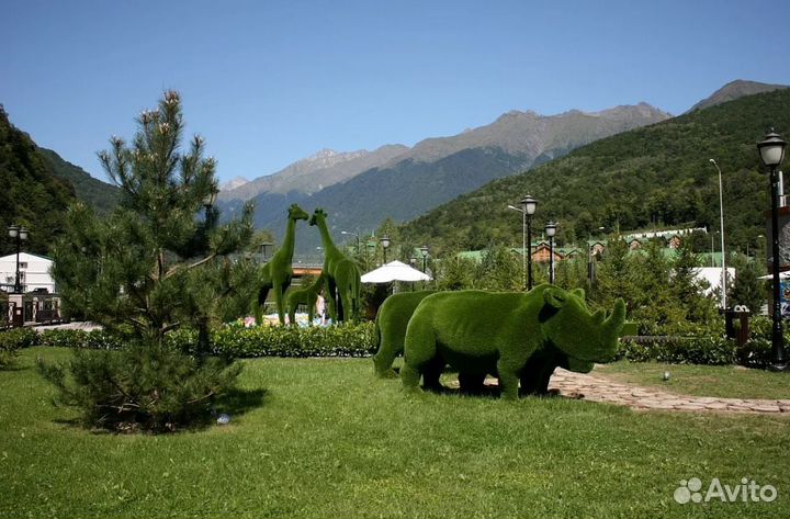 Тур на г. Красная Поляну от 7 нч за двоих чел