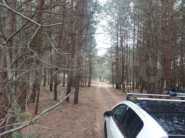 Участок 6 га (СНТ, ДНП)