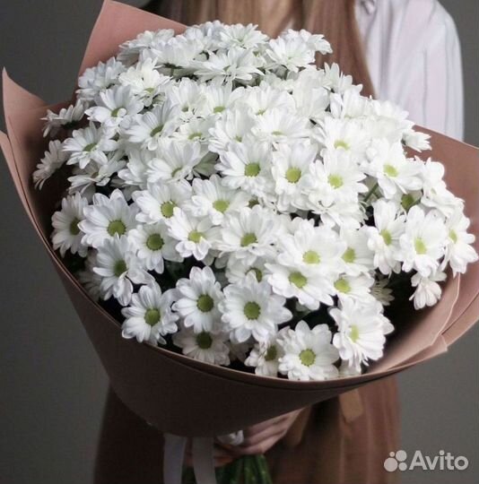 Хризантема Доставка цветов Букеты