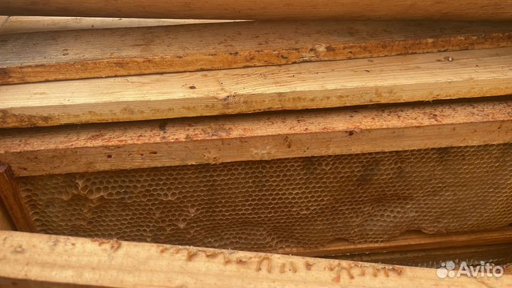 Товары для пчеловодства