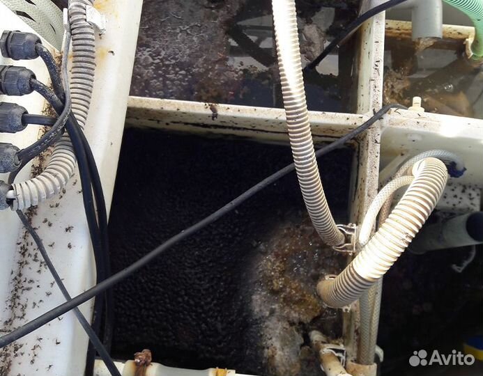 Обслуживание септика Топас, Астра, Биодека