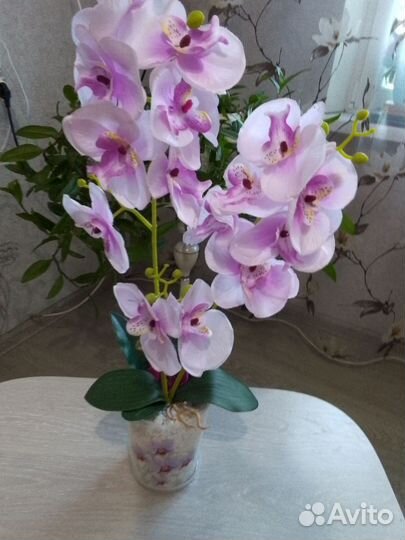 Орхидеи (искусственная)