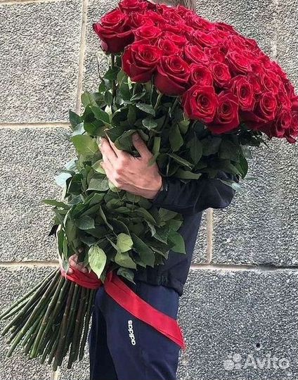 Высокие розы 150 160 170 180 190см доставка Москва