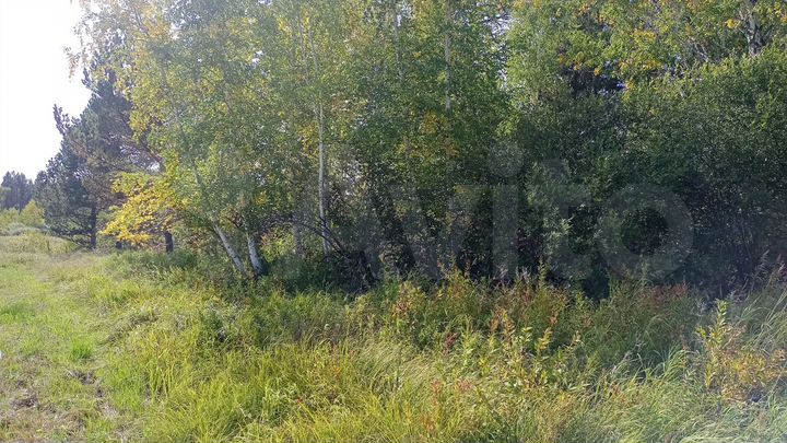 Участок 15 сот. (ИЖС)