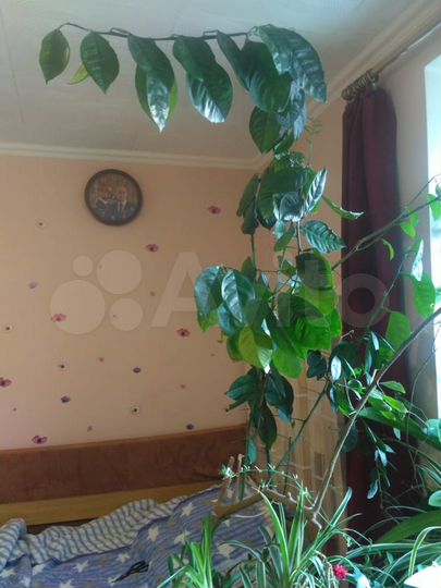 Комната 15 м² в 3-к., 5/9 эт.