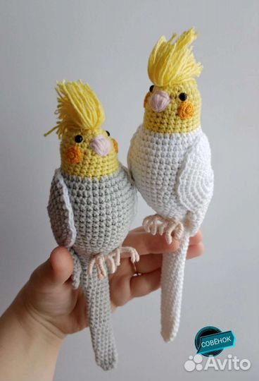 Вязаные попугаи