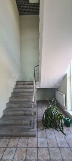 Сдам офисное помещение, 260 м²