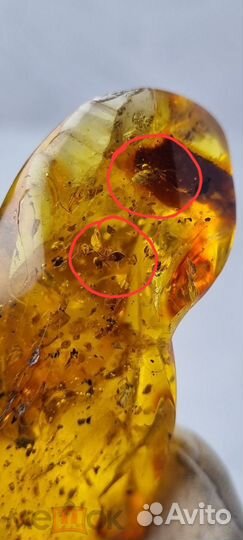 Янтарь С древними насекомыми