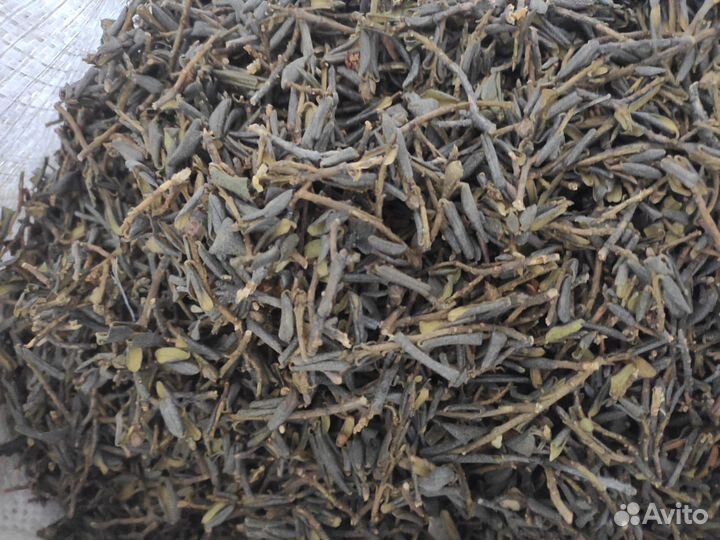 Чай саган дайля