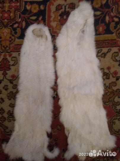 Шкурки кролика выделанные белого цвета