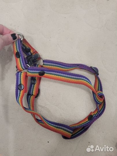 Комплект поводок и шлейка
