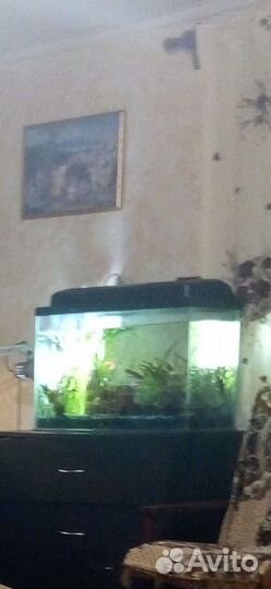 Аквариум под ключ