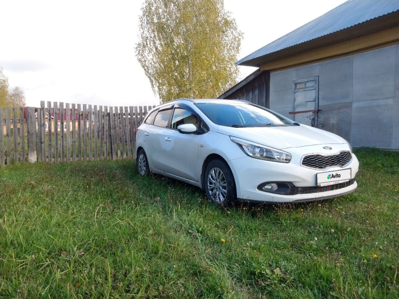 Kia Ceed: фото владельца